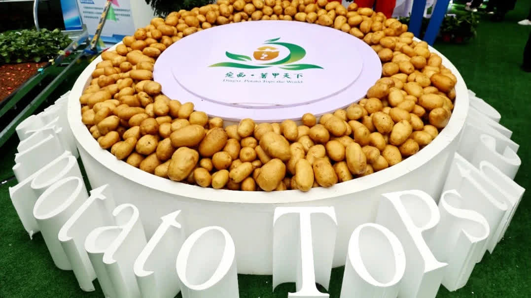 圖集｜定西馬鈴薯走出特色之路