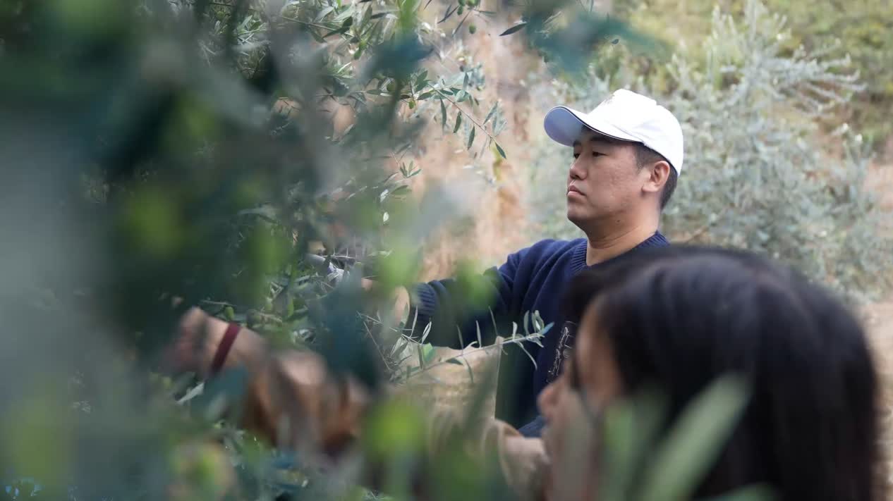 武都油橄欖，甘肅省隴南市武都區特產，中國國家地理標誌產品。經過40餘年的探索實踐，全區油橄欖面積達到30萬畝，保存面積約佔中國的60%，橄欖油產量佔93%，成為中國最大的初榨橄欖油生產基地，部分果園掛果和出油率高於地中海。

武都區是中國境內油橄欖最佳適宜種植區之一，是中國四大油橄欖生產基地之一，所產橄欖油產品榮獲中國林產品博覽會和甘肅省林業名特優新產品博覽會銀獎、金獎。2005年12月09日，原國家質檢總局批准對「武都油橄欖」實施地理標誌產品保護。