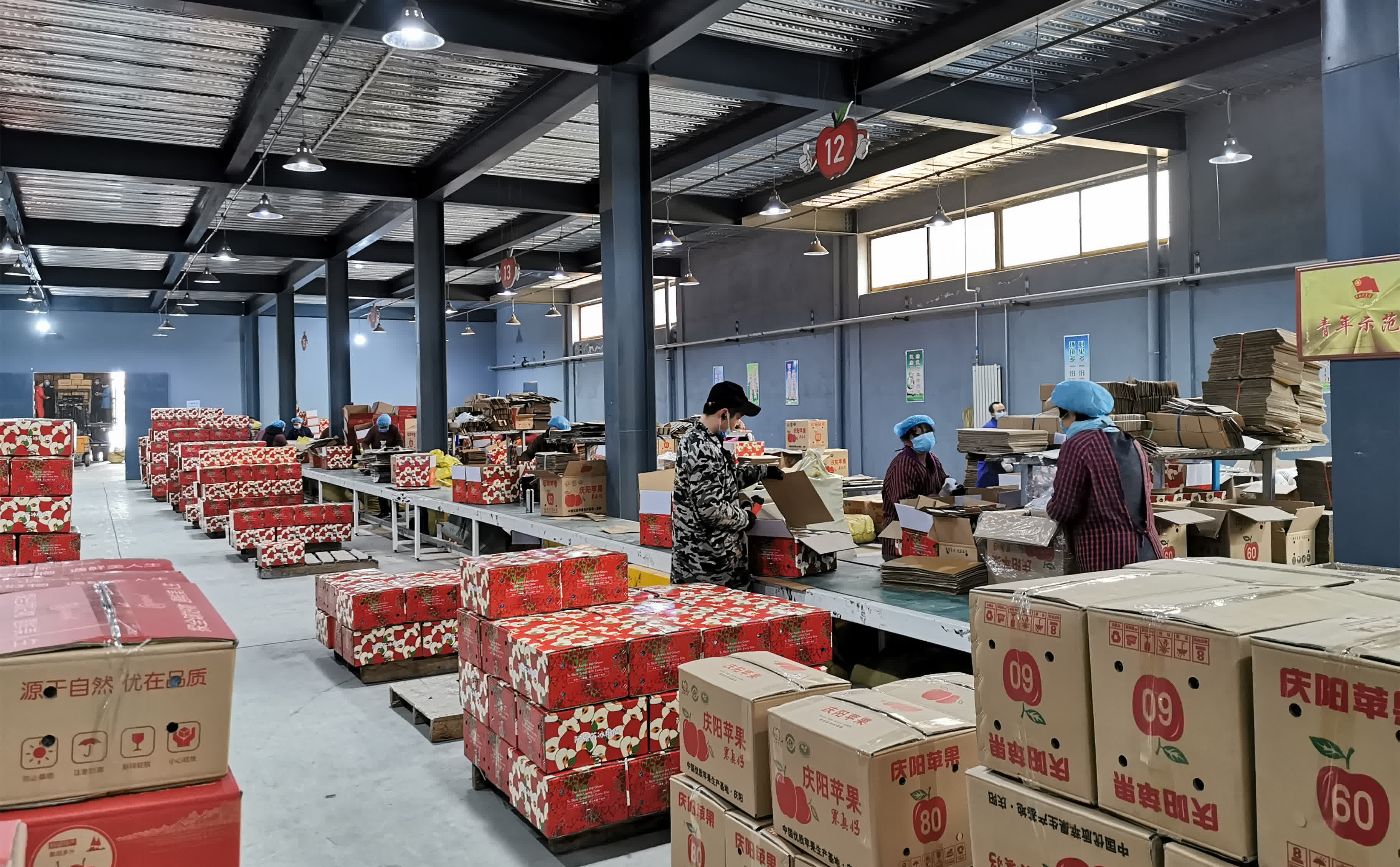 慶陽蘋果，甘肅省慶陽市特產，中國國家地理標誌產品。慶陽位於北緯35°14′28″—37°9′13″之間，海拔1100米—1600米，屬西北黃土高原蘋果優勢區，具備優質蘋果生產的全部7項主要生態指標和6項輔助指標，是中國優質紅富士蘋果適生區。慶陽蘋果以其果實硬度大、果形高樁、色澤鮮艷、蠟質層厚、酸甜適度、耐貯耐運、食用安全等特點著稱。

2009年5月20日，中華人民共和國農業部正式批准對「慶陽蘋果」實施農產品地理標誌保護。2014年04月08日，原國家質檢總局批准對「慶陽蘋果」實施地理標誌產品保護。