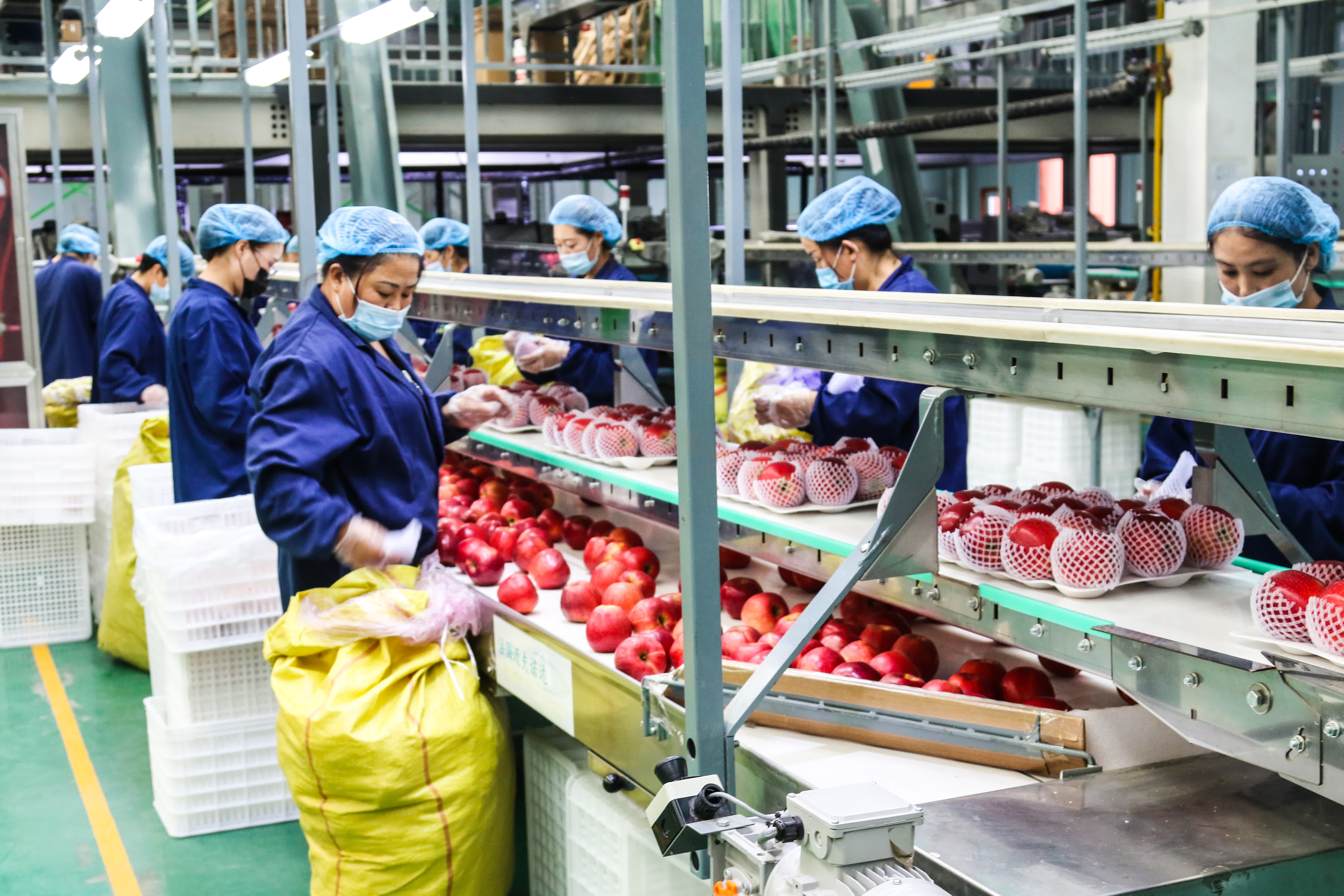 慶陽蘋果，甘肅省慶陽市特產，中國國家地理標誌產品。慶陽位於北緯35°14′28″—37°9′13″之間，海拔1100米—1600米，屬西北黃土高原蘋果優勢區，具備優質蘋果生產的全部7項主要生態指標和6項輔助指標，是中國優質紅富士蘋果適生區。慶陽蘋果以其果實硬度大、果形高樁、色澤鮮艷、蠟質層厚、酸甜適度、耐貯耐運、食用安全等特點著稱。

2009年5月20日，中華人民共和國農業部正式批准對「慶陽蘋果」實施農產品地理標誌保護。2014年04月08日，原國家質檢總局批准對「慶陽蘋果」實施地理標誌產品保護。