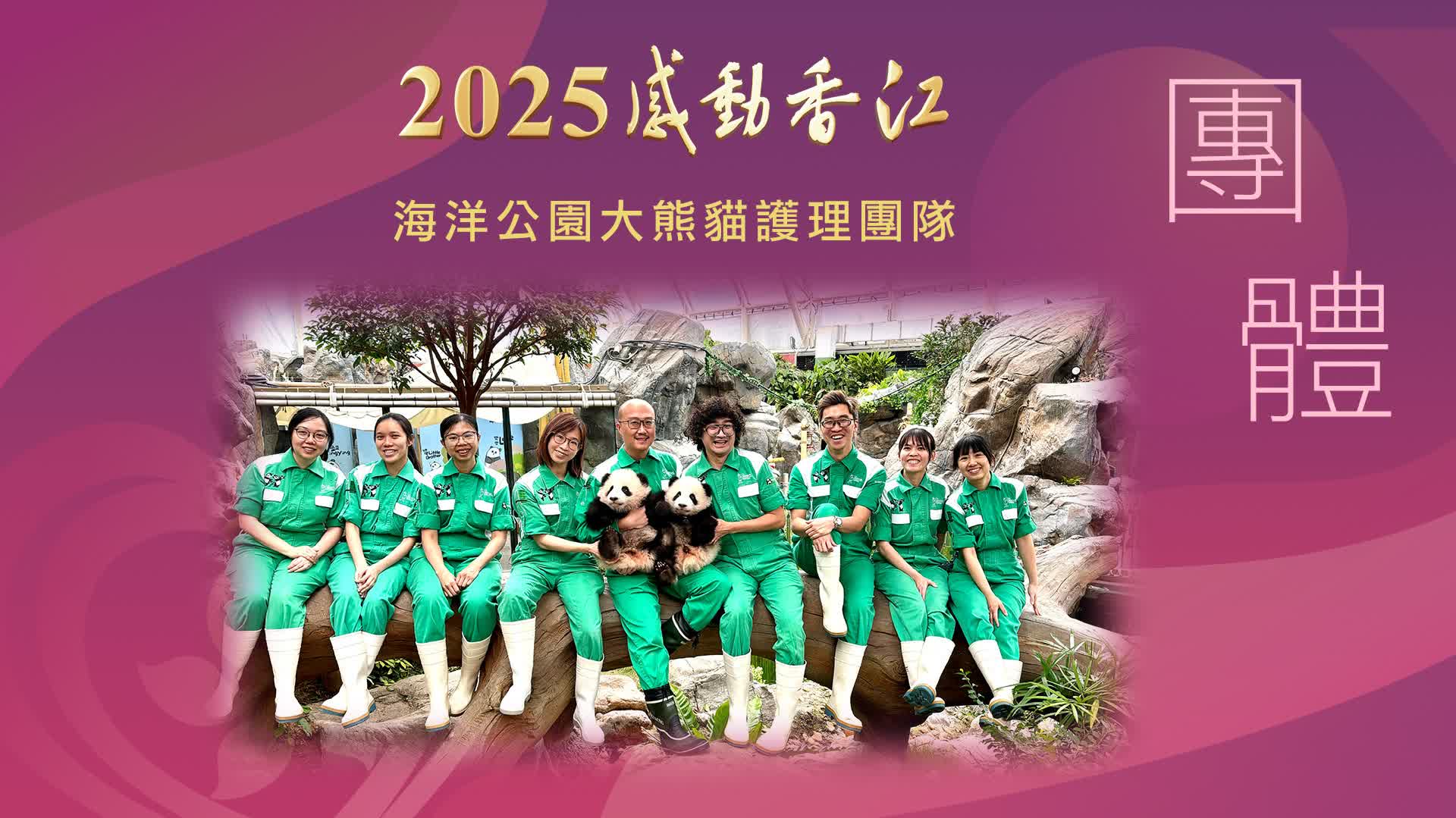 （有片）2025感動香江團體｜海洋公園大熊貓護理團隊