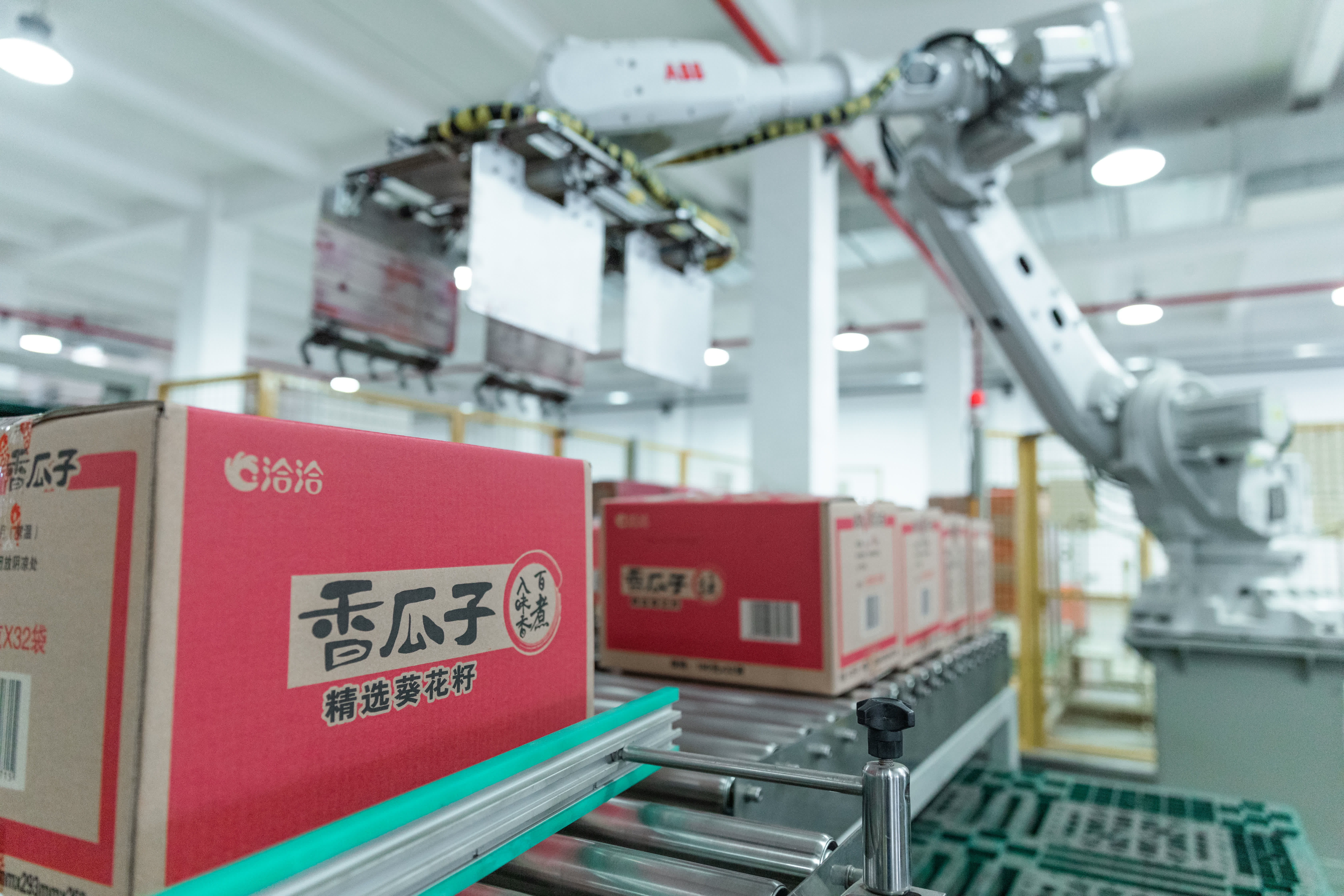 安徽省合肥市是中國食品工業協會認證的「中國堅果炒貨之都」。目前，合肥堅果炒貨年產銷量佔全國市場份額近20%，聚集了洽洽、真心、天美、張二嘎等企業。其中洽洽為國家農業產業化龍頭企業，在全球擁有100多萬畝自有種植基地，產品暢銷全球近70個國家和地區，成為中國堅果行業標誌性品牌。

2025年，洽洽以568.72億元人民幣的品牌價值連續第三年榮登「亞洲品牌500強」，斬獲「外國人喜愛的中國品牌」稱號。暢銷26年的洽洽國民紅袋瓜子，行業首創煮制工藝，累計銷售超200億袋，有華人的地方就有洽洽紅袋。