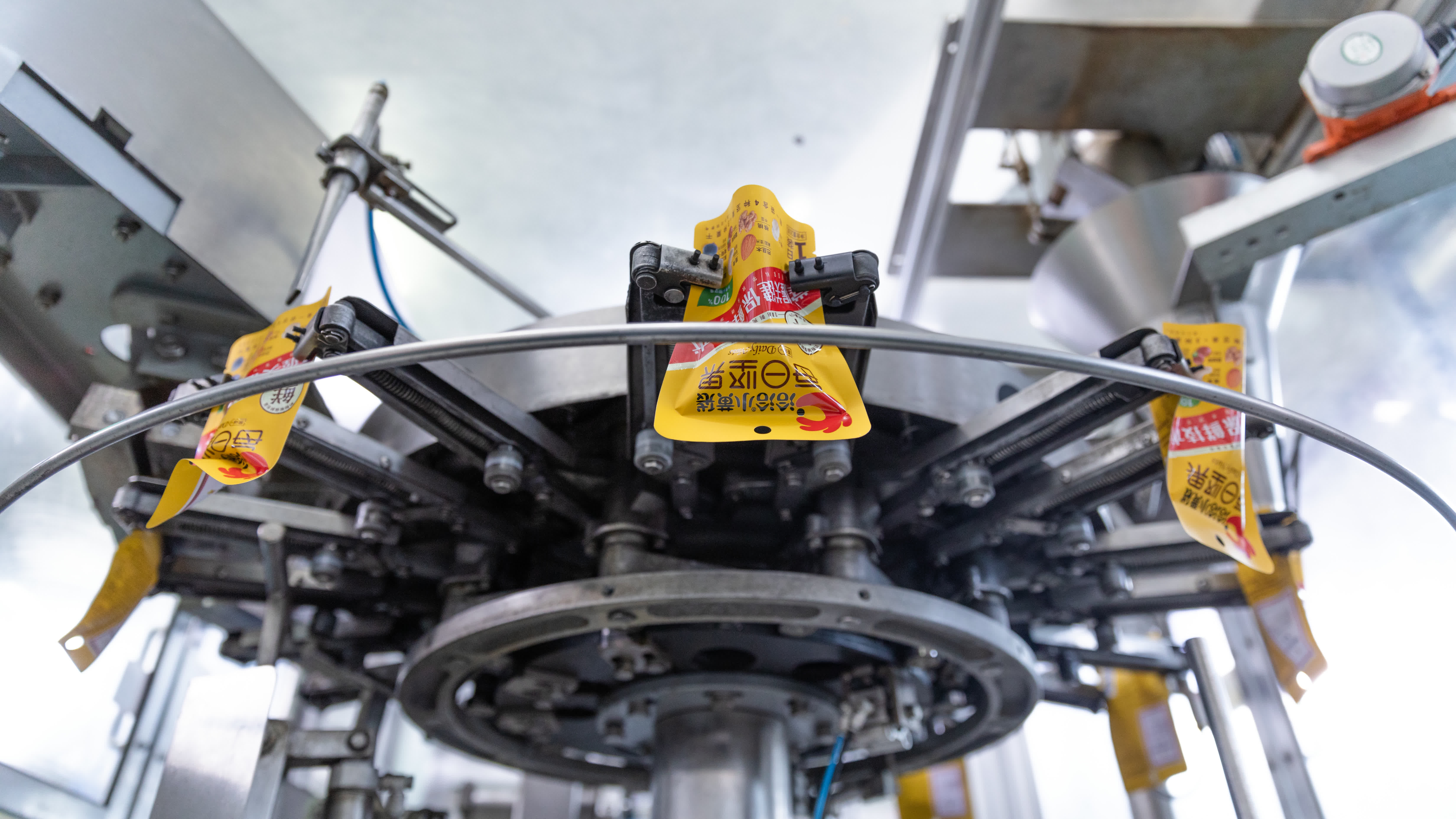 安徽省合肥市是中國食品工業協會認證的「中國堅果炒貨之都」。目前，合肥堅果炒貨年產銷量佔全國市場份額近20%，聚集了洽洽、真心、天美、張二嘎等企業。其中洽洽為國家農業產業化龍頭企業，在全球擁有100多萬畝自有種植基地，產品暢銷全球近70個國家和地區，成為中國堅果行業標誌性品牌。

2025年，洽洽以568.72億元人民幣的品牌價值連續第三年榮登「亞洲品牌500強」，斬獲「外國人喜愛的中國品牌」稱號。暢銷26年的洽洽國民紅袋瓜子，行業首創煮制工藝，累計銷售超200億袋，有華人的地方就有洽洽紅袋。