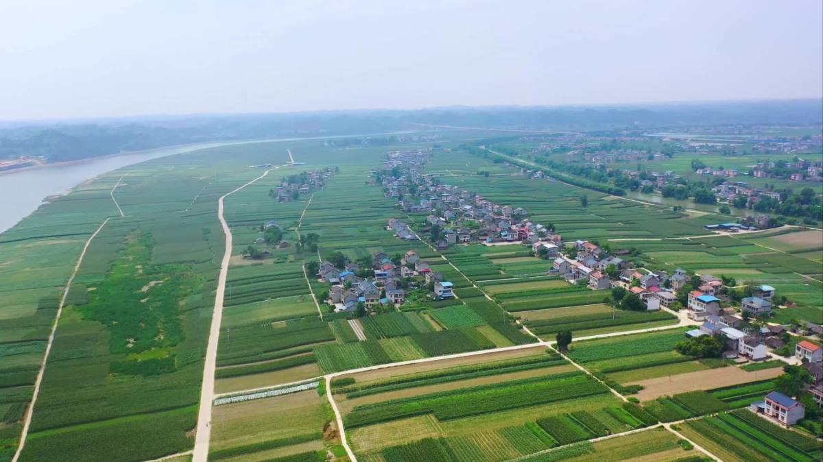 重慶「潼南綠」精品蔬菜直供香港邁向國際知名品牌