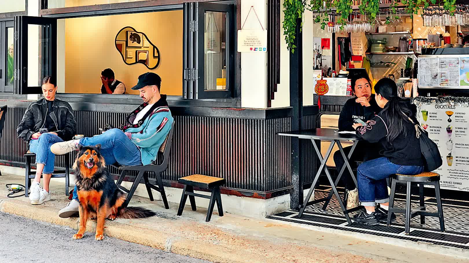 狗狗友善食肆牌照 最快6月批出