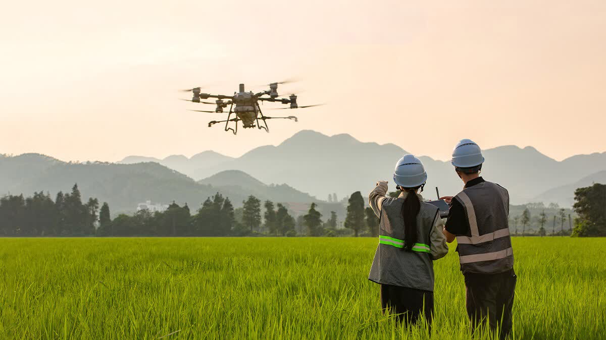 (有片)我國已成為農用無人機保有量第一大國!無人機 機器人首次寫入中央一號文件
