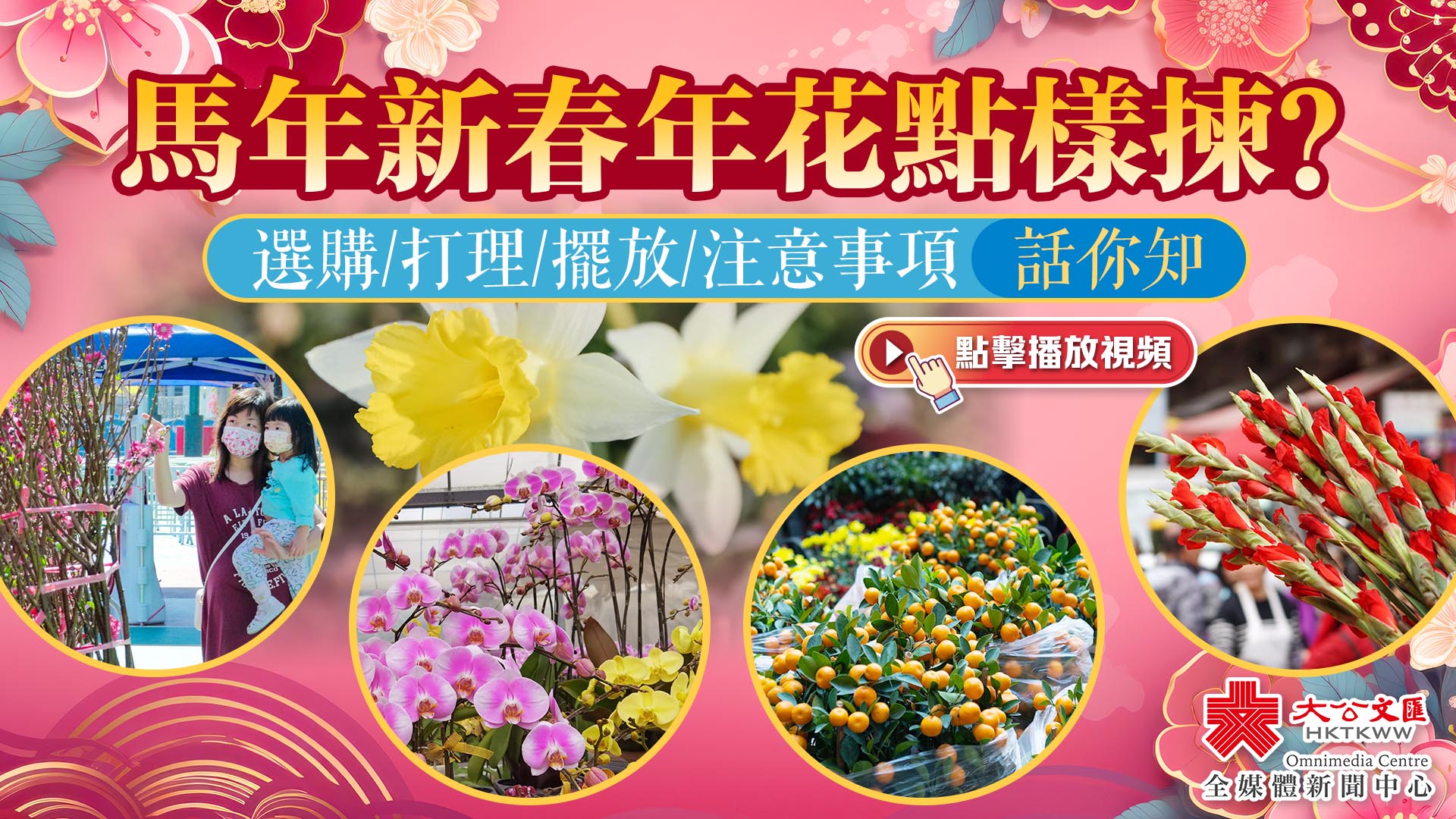 (有片)馬年新春年花點樣揀?選購/打理/擺放/注意事項話你知