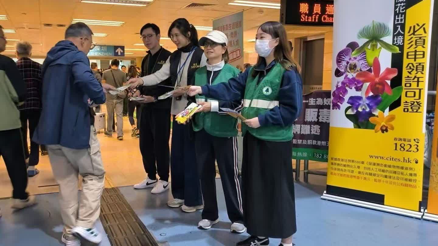 新年北上買年貨注意!海關提醒勿攜帶蘭花返港