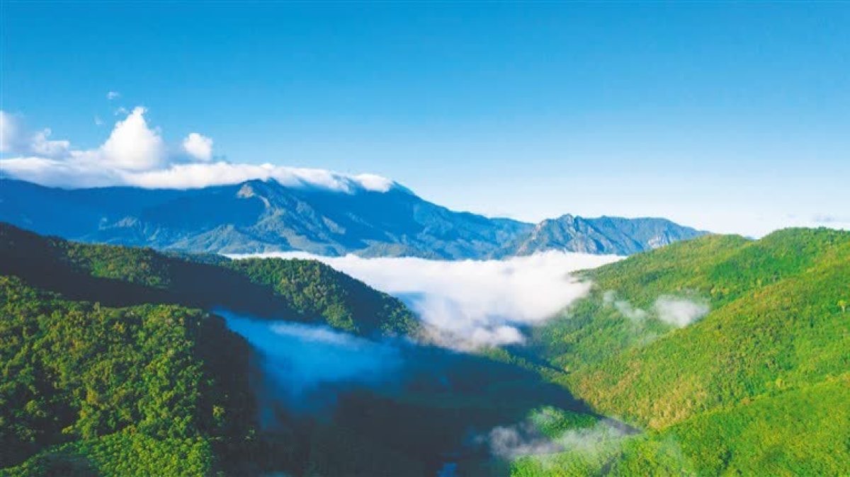 Hainan to establish tropical marine national park - Go China - 大公文匯網