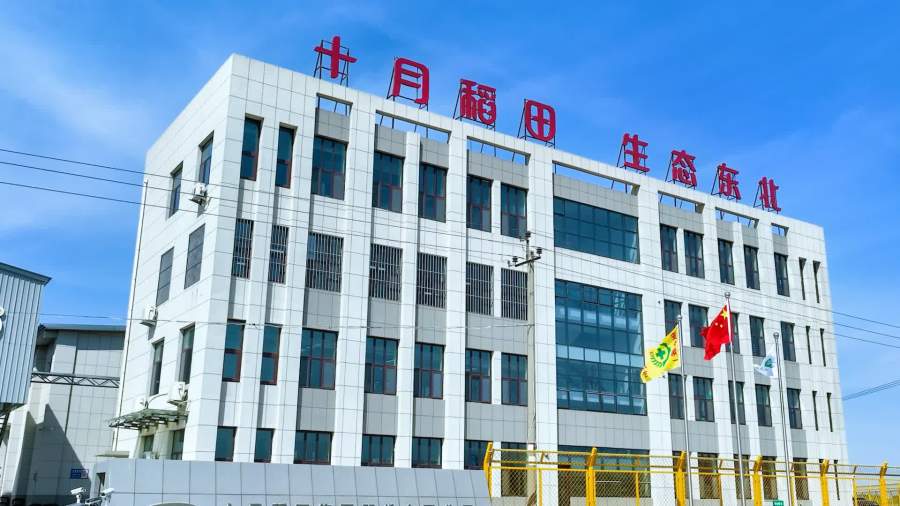 十月稻田馬年年貨節發力　以情感共鳴與產業鏈效能驅動高質量增長