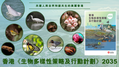 香港《生物多樣性策略及行動計劃》2035 — 共建人與自然和諧共生的美麗香港