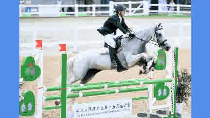 (有片)香港以「馬」為媒 激發蓬勃發展活力