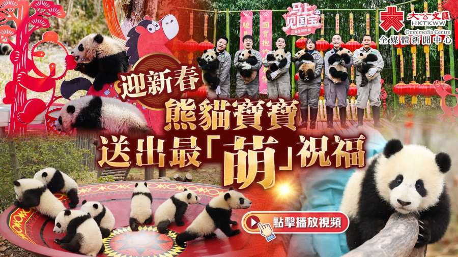 （有片+多圖）迎新春　熊貓寶寶送出最「萌」祝福