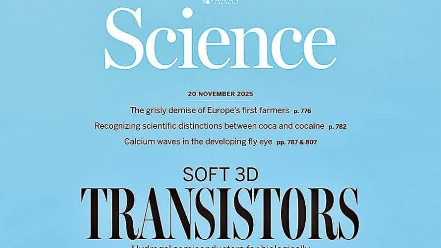 港科研開年爭先　個半月七登頂