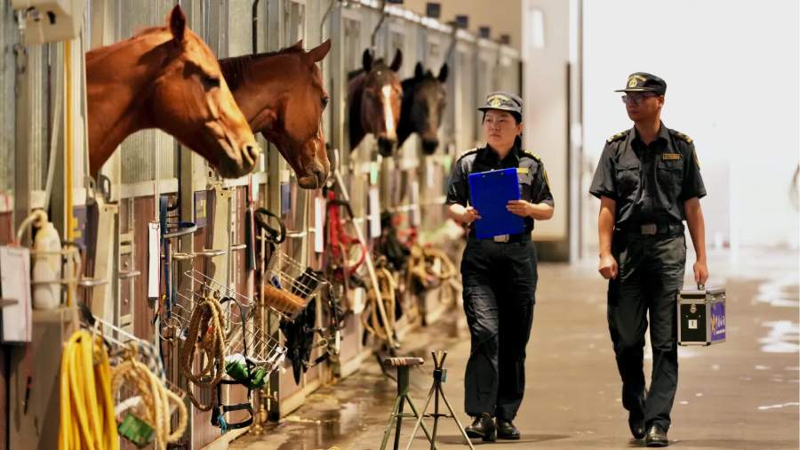 馬年盛事不斷　大灣區馬產業「快馬加鞭」