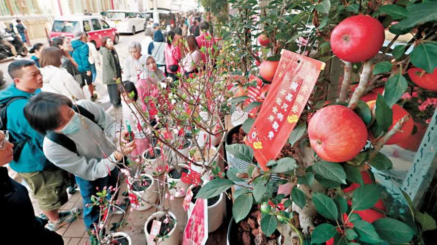 展現香江春節魅力  擦亮「東方之珠」旅遊招牌