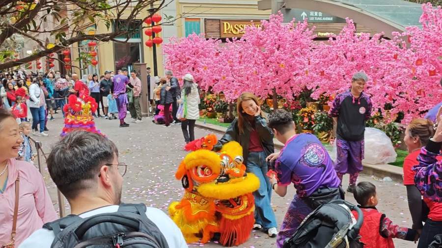 （有片）國際客點讚港味春節：中西交融　精緻熱烈