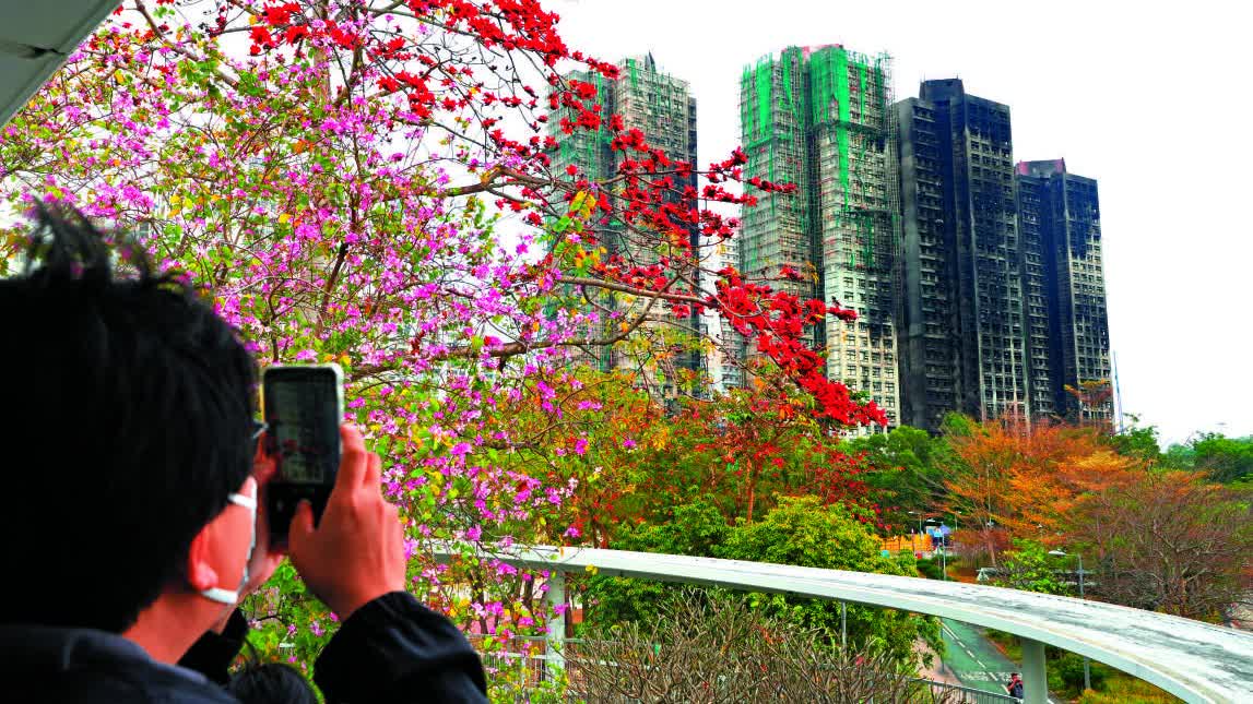 大公社評|安置方案實屬難能可貴 積極務實早日實現安居