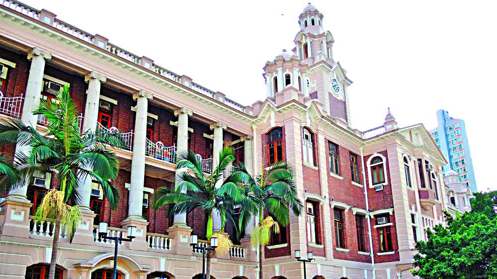 井水集|打擊「假學歷」