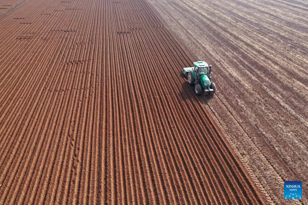 An aerial drone photo taken on Feb. 24, 2026 shows a farmer operating an agricultural machine to plough a field in Qicheng Village, Qinyang City, central China's Henan Province. After the Spring Festival holiday, farmers are busy with agricultural production in the farming season across the country. (Photo by Yang Fan/Xinhua)