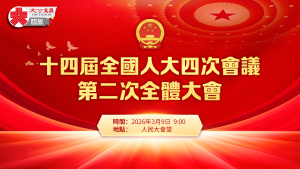 回放｜十四屆全國人大四次會議第二次全體會議