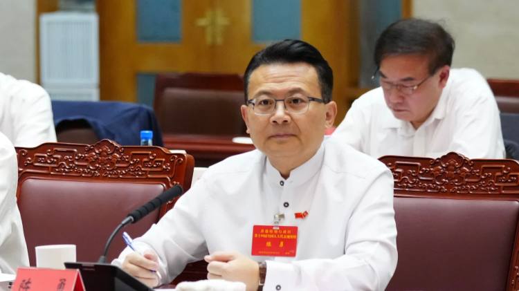 陳勇 | 發揮港區代表獨特優勢　服務國家展現香港風采