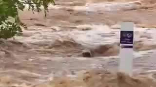 中國總領館證實兩名中國公民在澳大利亞洪災中遇難