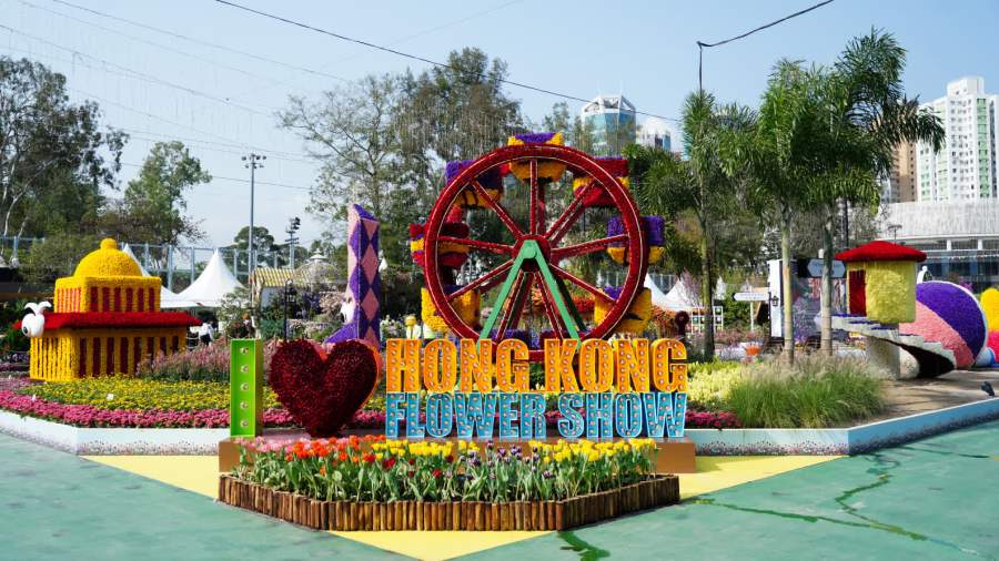 （多圖）2026維園花展搶先睇！主題花「紫羅蘭」　仲有大熊貓 龍舟造景