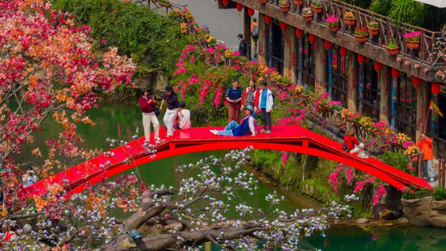 （多圖）港澳居民北上春季賞花掀熱潮　灣區這些線路受青睞