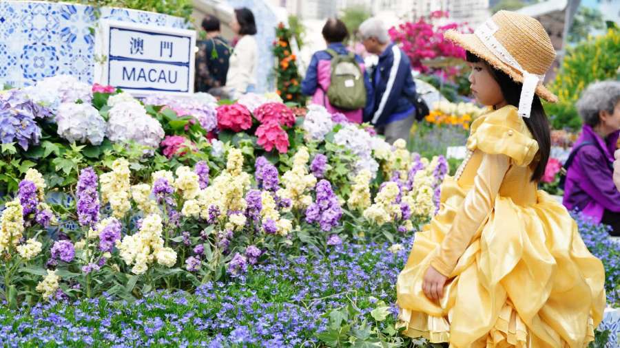 （多圖）維園花展開鑼　微縮鴨靈號/彩虹邨成焦點　市民「長槍短炮」捕捉最美一刻