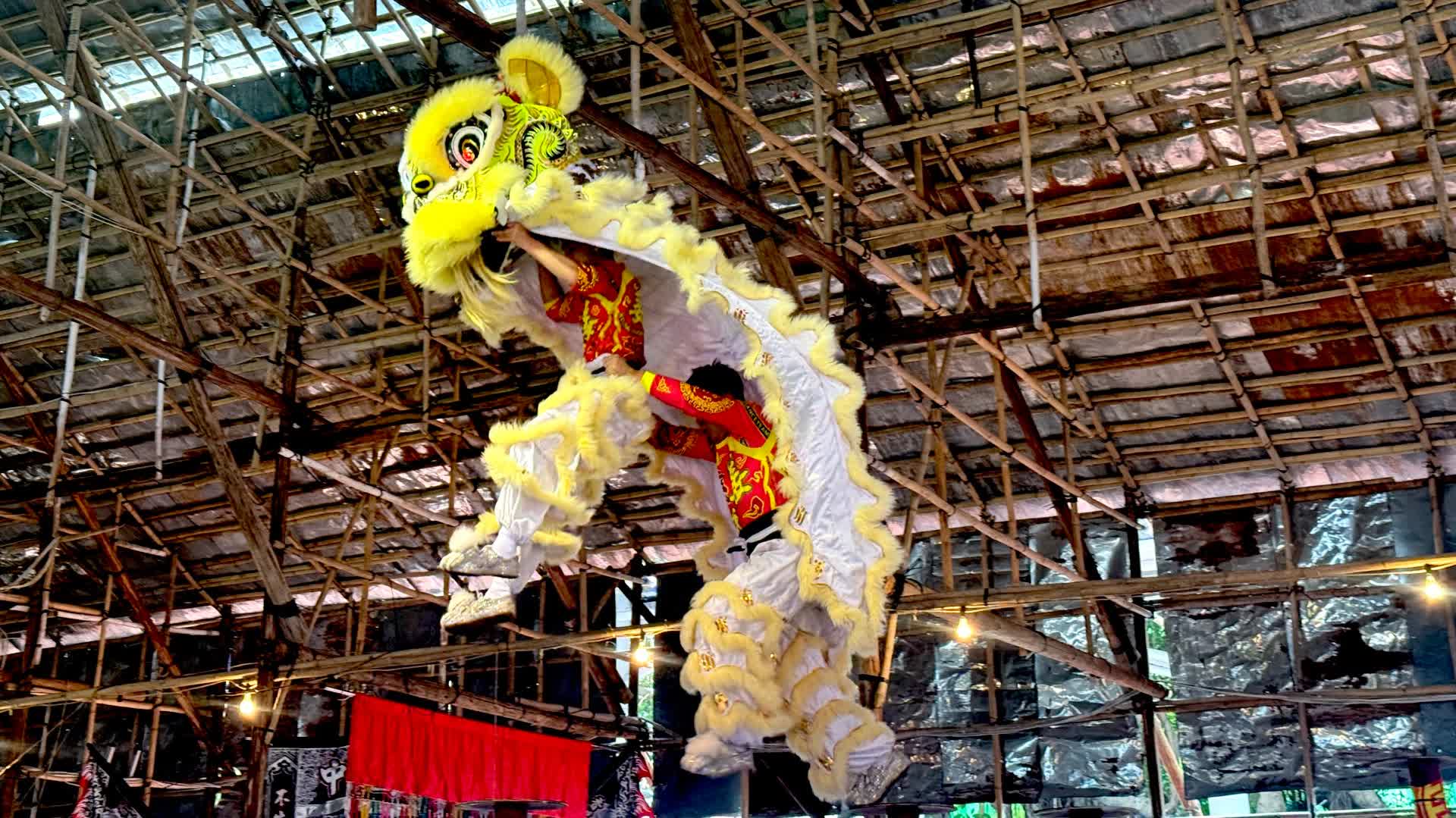 (有片)國際高樁舞獅邀請賽今開鑼!13頂尖醒獅隊逐「高樁之王」