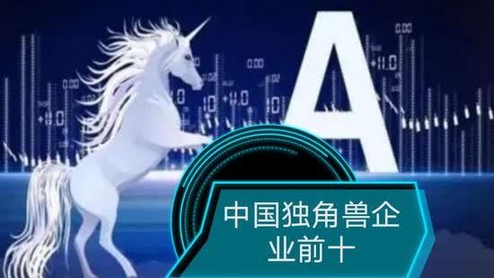China ranks second globally with 416 unicorn firms, report shows