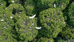 大公社評｜一堂寶貴的生命教育課