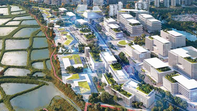 陳勇｜破解制度壁壘　推進大灣區規則機制軟連通