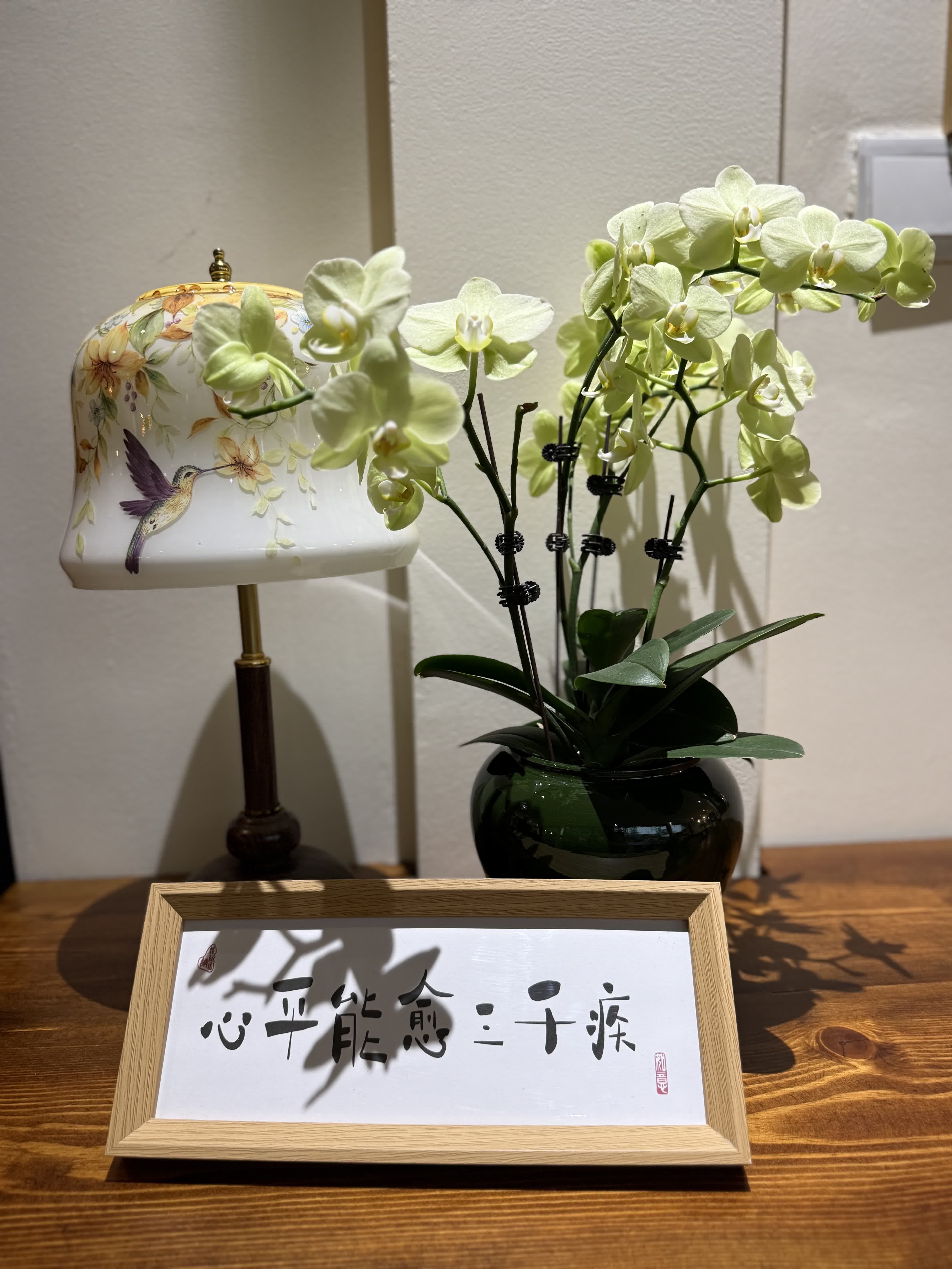 今年春節，翁源蘭花首次批量亮相香港年宵花市‌，實現了對香港市場的「首綻」。作為「中國蘭花之鄉」，廣東省韶關市翁源國蘭供應量佔全國60%以上，2025年出口量達334萬芽（株），同比增長160%，遠銷韓國、俄羅斯、越南、荷蘭等10餘個國家和地區。

據當地千年古剎東華禪寺介紹，寺廟此前同當地花農赴迪拜開展考察，在多方助力下，首批蘭花已通過雲南花卉渠道進入迪拜市場，其優雅花型與濃郁文化內涵，契合了中東消費者對高品質花卉的追求。同時，東華禪寺正在打造的「蘭花藝術公園」蘭花小鎮已經動工，將依託翁源縣雄厚的蘭花產業基礎，一方面通過文化實踐推動佛教中國化走深走實，另一方面助力蘭花特色產業發展，為當地鄉村經濟振興做出貢獻。