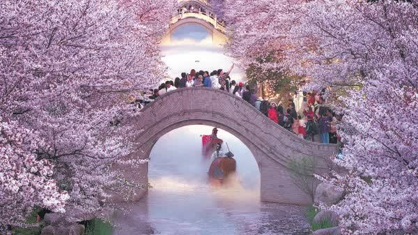 Springtime bolstering 'bloom-boom' business