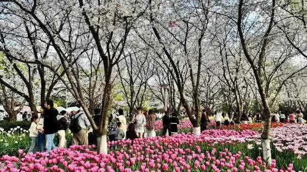 ColorWalk goes viral on social media