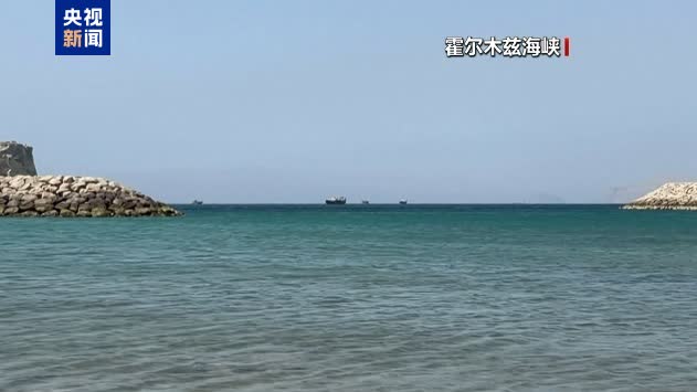 英海事分析公司：過去36小時有35艘船隻在駛出霍爾木茲海峽途中掉頭