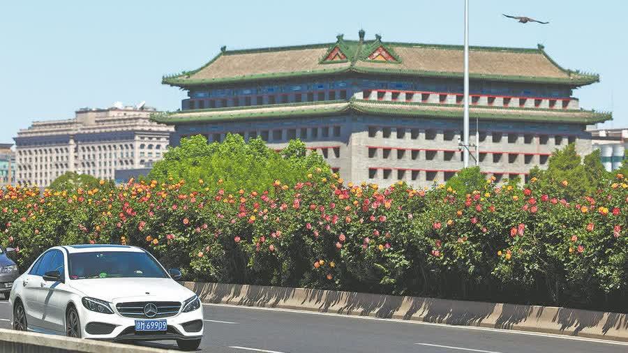 City of roses brings beauty, joy to people