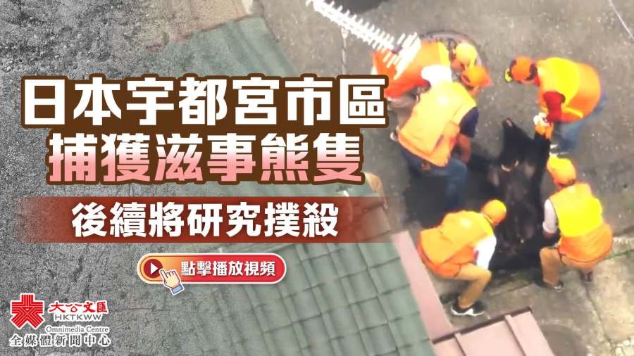 （有片）日本宇都宮市區捕獲滋事熊隻　後續將研究撲殺
