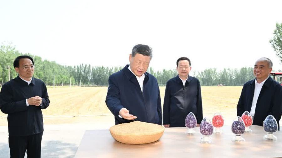 習近平：引導廣大農民群眾用勤勞和智慧創造更加美好生活