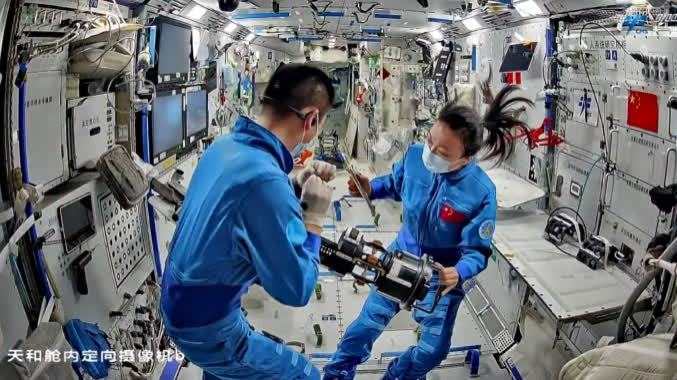 （有片）太空水稻迎「收穫季」！黎家盈與隊友採收水稻忙不停