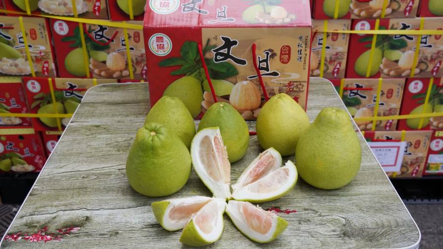 （有片）台灣生鮮「朝摘夕至」　全國空運首櫃枱灣文旦柚南京開櫃上架