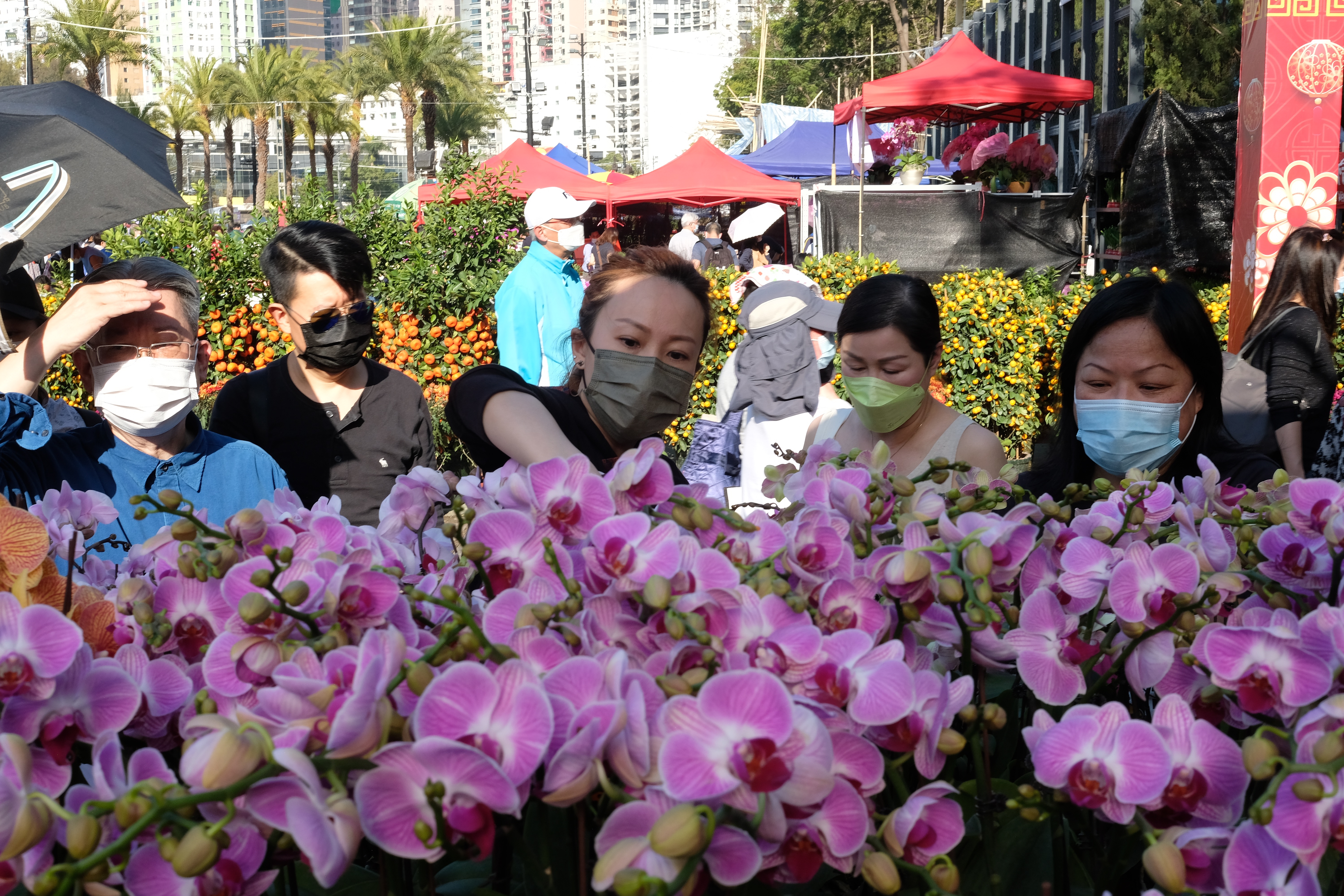 全港15個年宵花市今日（6日）開鑼，將持續至下周四的大年三十。花市出入口設紅、黃、綠燈人流管制系統。每名進內人士須進行體溫檢測，現場設有紅外線傳感器以計算場內人數。圖為維多利亞公園花市，市民井然採購年花。（大公文匯全媒體記者麥鈞傑攝）