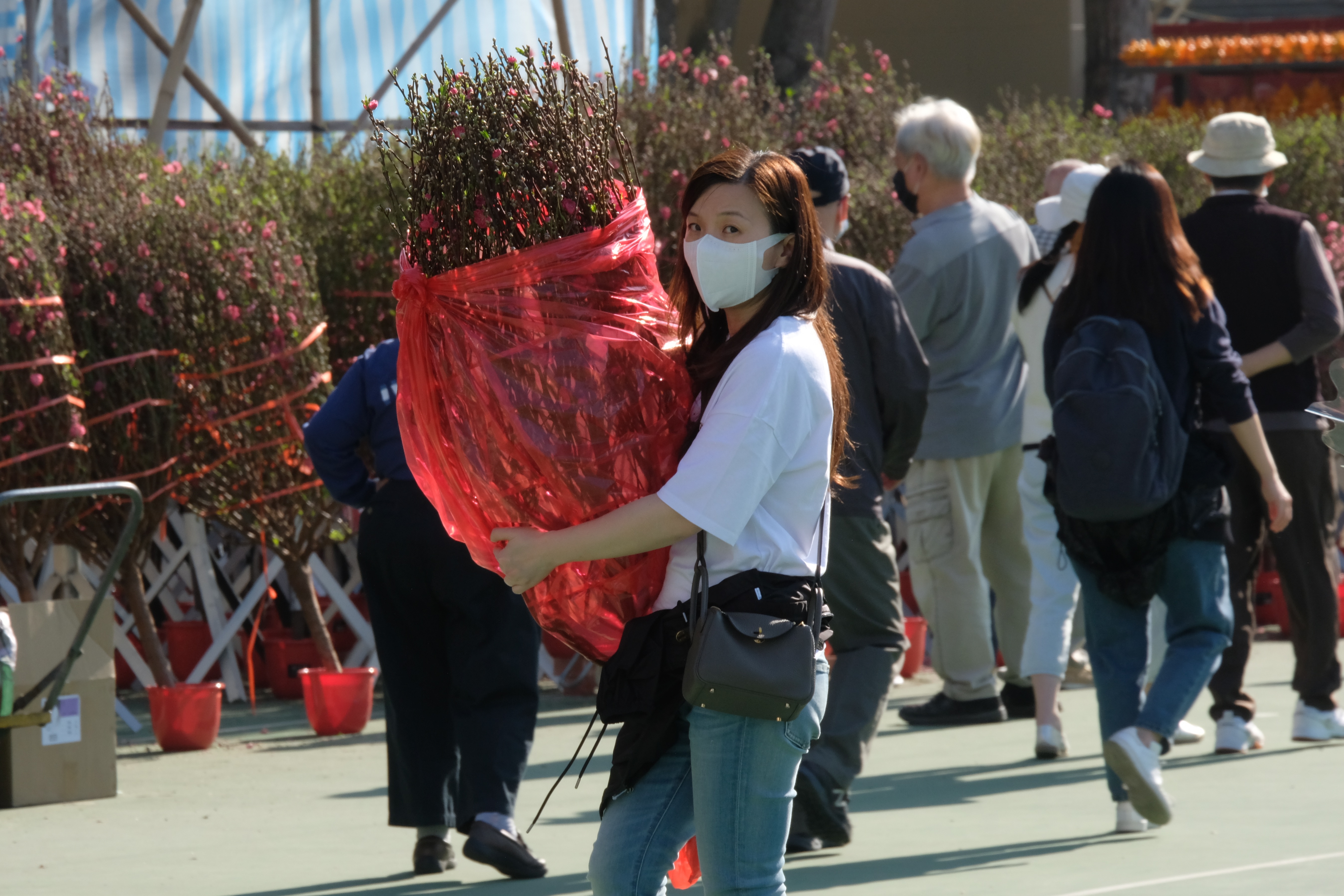 全港15個年宵花市今日（6日）開鑼，將持續至下周四的大年三十。花市出入口設紅、黃、綠燈人流管制系統。每名進內人士須進行體溫檢測，現場設有紅外線傳感器以計算場內人數。圖為維多利亞公園花市，市民井然採購年花。（大公文匯全媒體記者麥鈞傑攝）