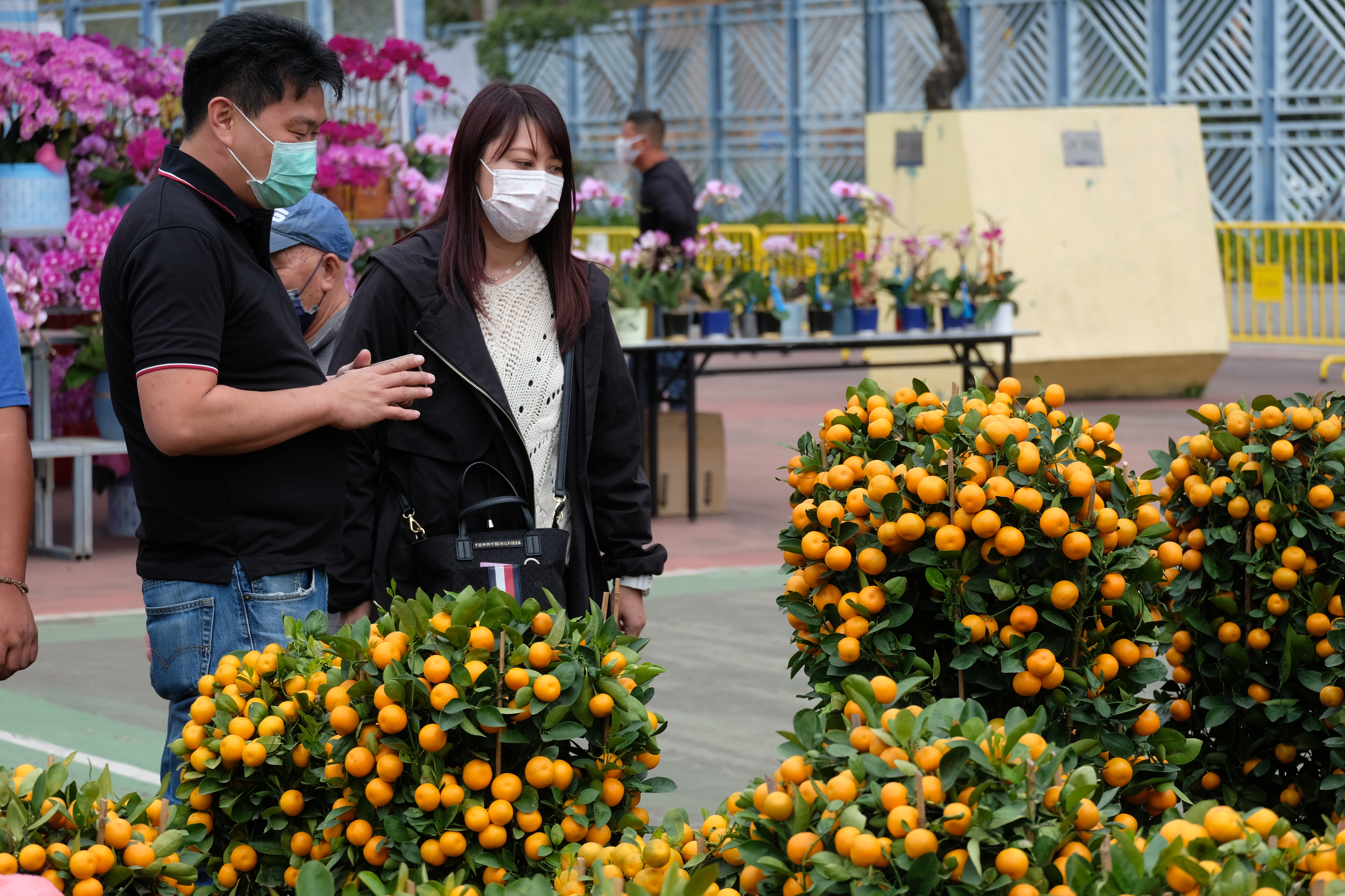 牛年年宵花市6日開鑼，在全港15個地點舉行。新冠肺炎疫情下，人潮雖不及往年，但今日（9日）仍有不少市民到花市閒逛，開心揀選桃花、蘭花、年桔等好意頭的植物，為家居添彩。（點新聞記者麥鈞傑攝）