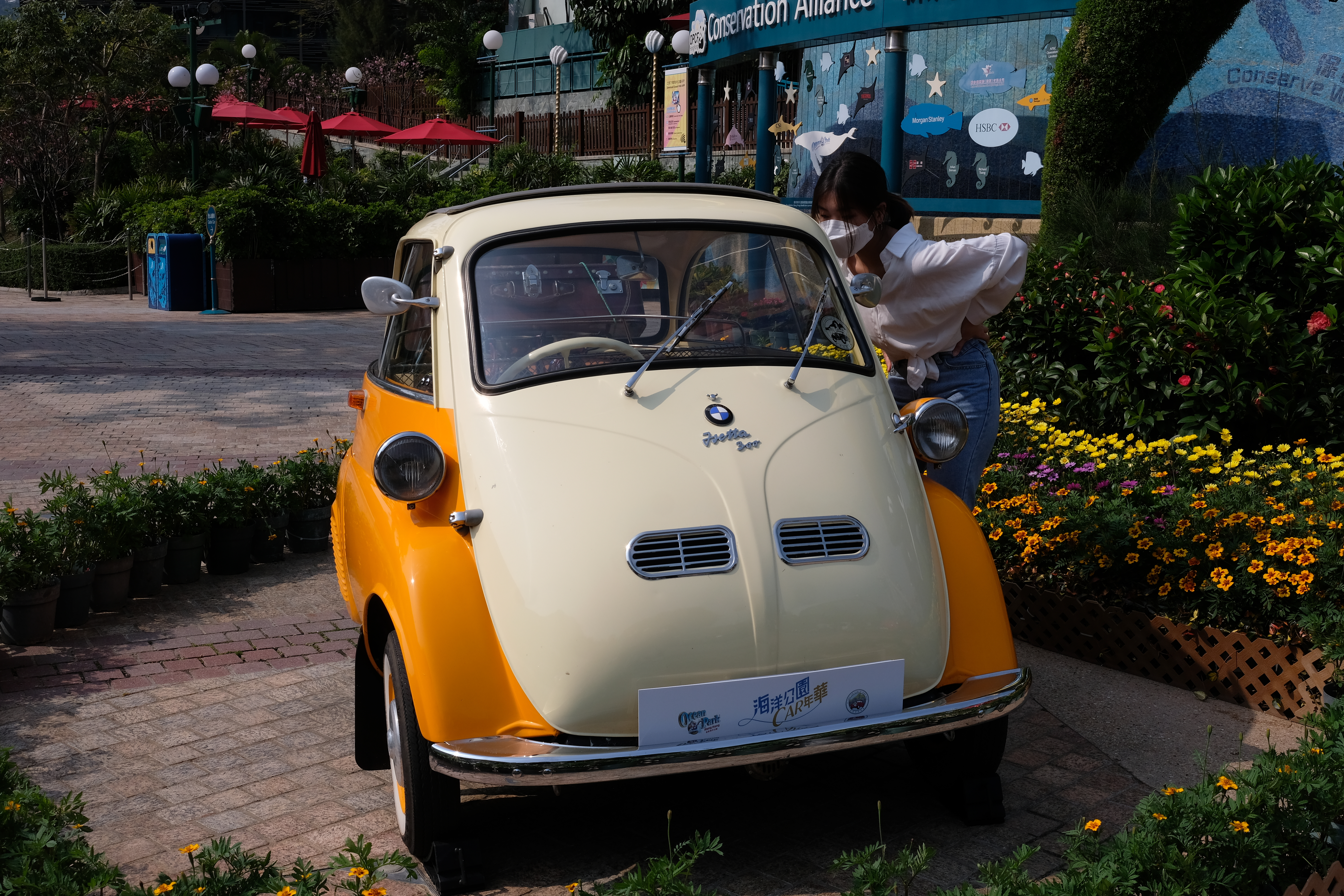 海洋公園夥拍香港老爺車會將於明日（26日）及後日舉行「CAR年華」車展，訪客只需持有海洋公園入場門票、智紛全年入場證或無限次入場證，即可以免費參加「CAR年華」，與擁有逾半世紀歷史的古董車合照打卡（大文新聞網記者 麥鈞傑 攝）