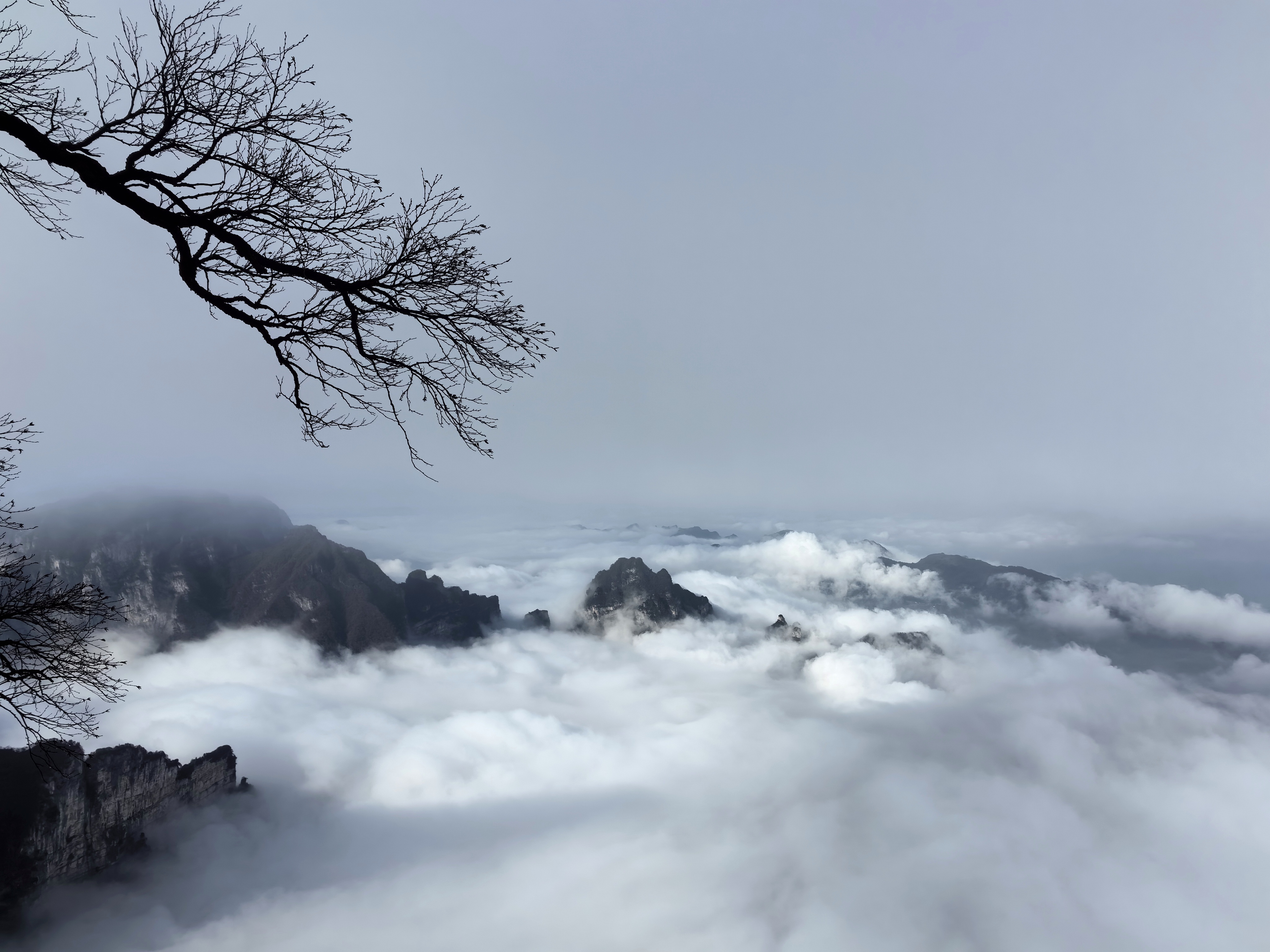 天門山雲海奇觀。 （記者姚進 攝）