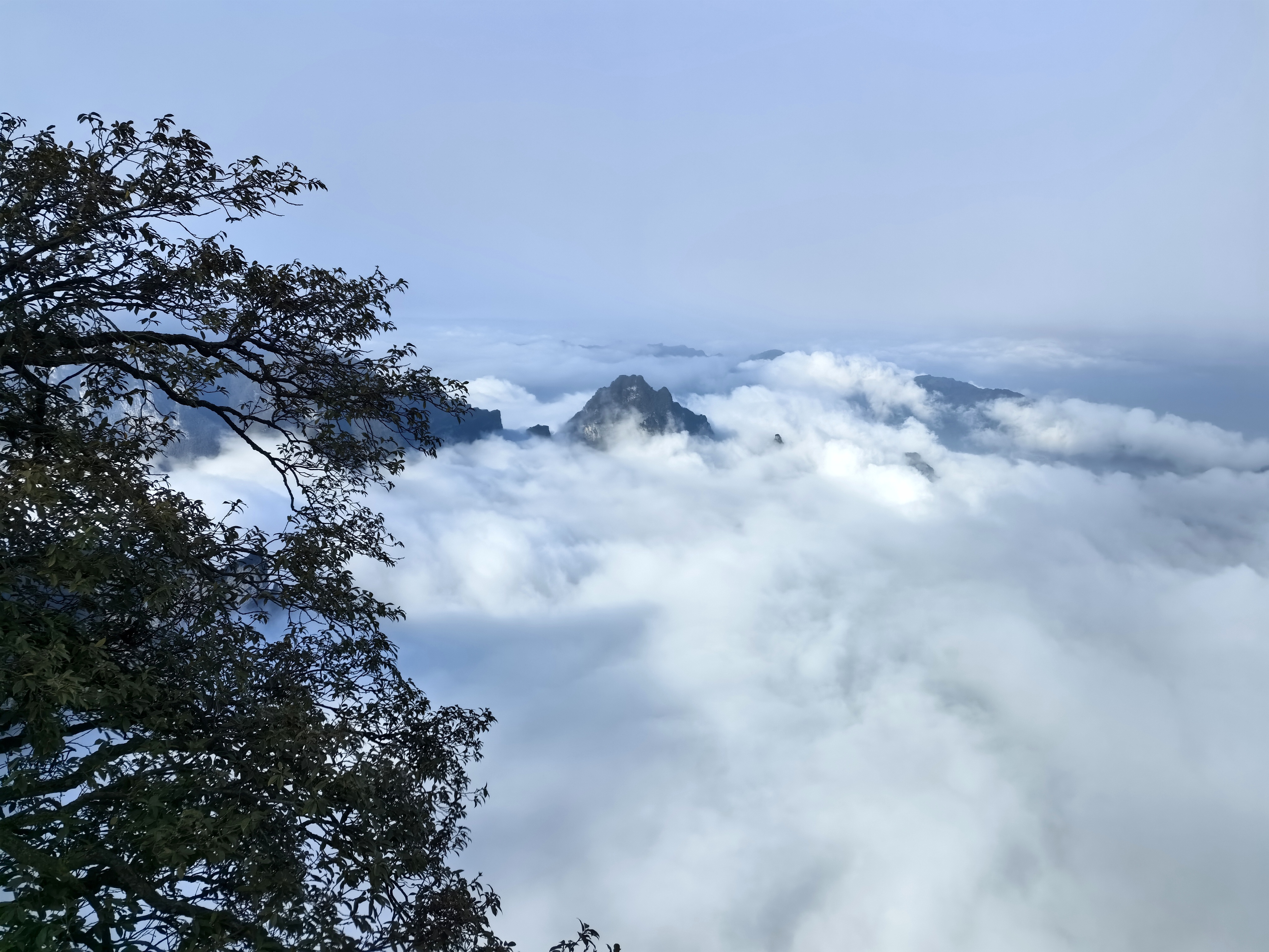 天門山雲海奇觀。 （記者姚進 攝）