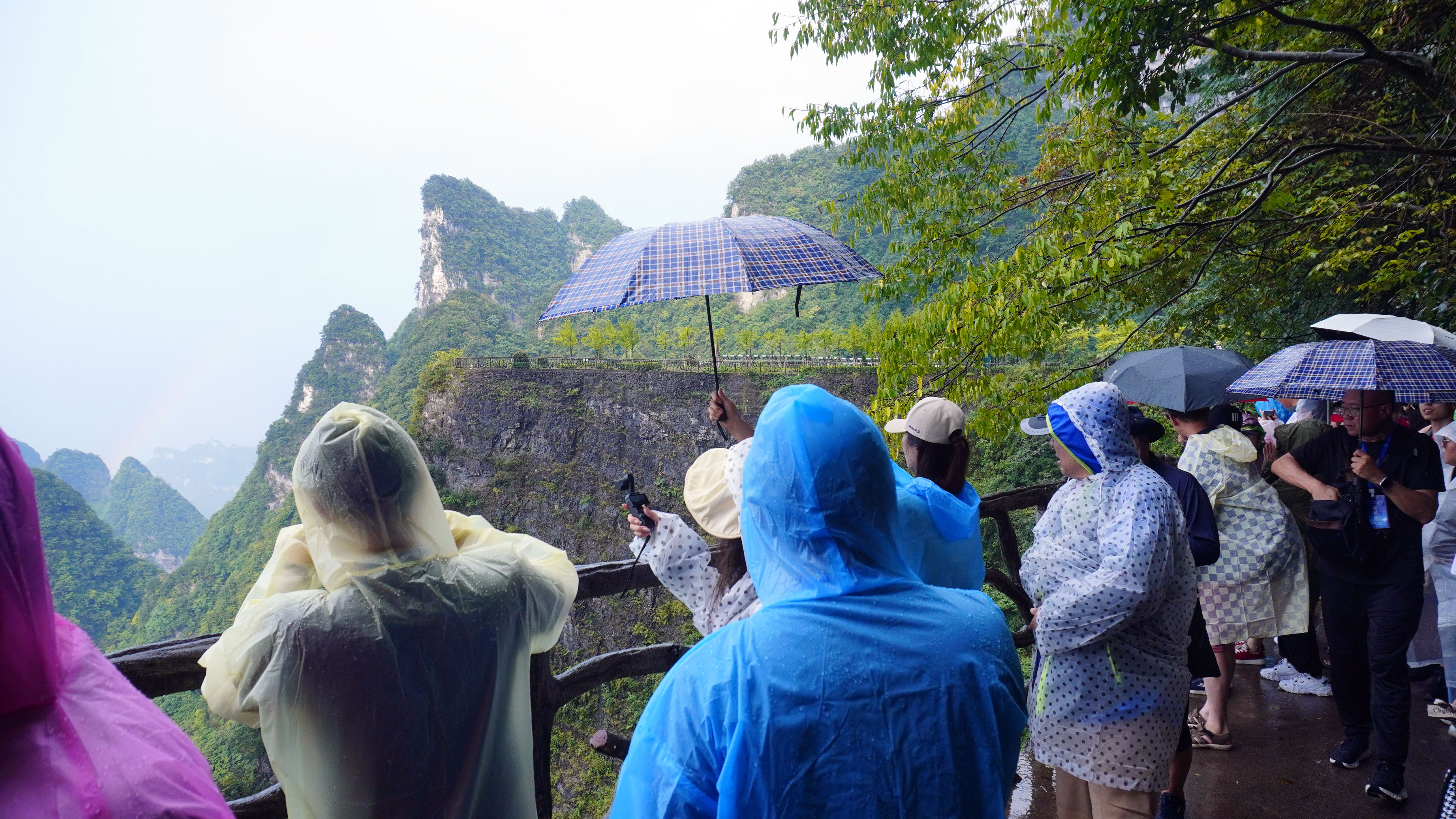 華媒高層打卡天門山　見證雨後彩虹
